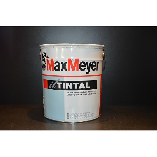 TINTAL MAX MEYER